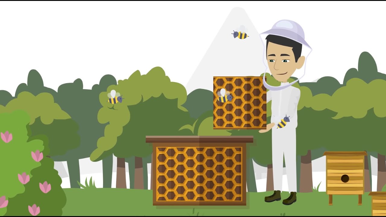 Can microalgae improve honeybee health?
