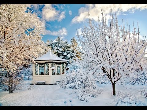 jgufi miraji - vxedav tovli mosula . ვხედავ თოვლი მოსულა