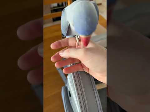 Still more healing to go and ever more trips to come but we did very well x