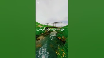 آيات من سورة المؤمنون | بصوط الشيخ ياسر الدوسري | قرآن كريم | راحة نفسية 😌🎧