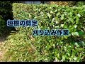 【埼玉県行田市の植木屋】生垣の刈り込み剪定作業紹介　刈り込み鋏を使用