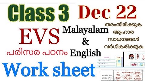 Class 3 Evs worksheet December 22|kite |victers worksheet |3 class evs dec 7 work|victers 3