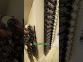 Best Places in Your Home for a Wine Cellar