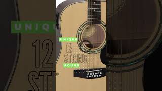 This is what the Mitchell D120S12E 12-String sounds like. - Guitars Are Being Strummed shorts