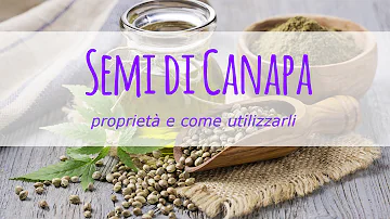 Come si usano i semi di canapa in cucina?
