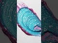 satisfying asmr #shorts