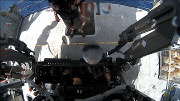 ROV SuBastian Dive 064 - Penguin Bank - Sea Level Secrets Expedition