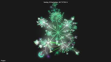 Gource visualization of a git repository