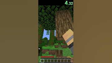 Minecraft Random Item Speedrun: Steak #shorts