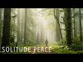Lofi Jazz Music for Deep Focus 🌙 Calm Night &amp; Solitude Ambience