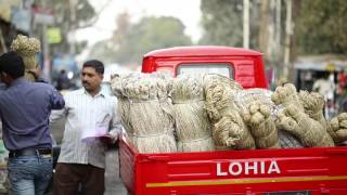 Lohia Auto Humsafar Diesel Auto video