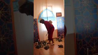 Kaplumbağa Terbiyecisi Canlandırma