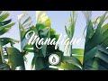 Tropical Fever | A Manafique Mix