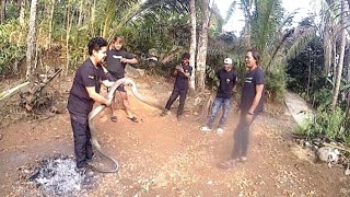 Masih dalam karung baru dapet karena banyak yang pengen tau kita keluarkan sekaligus pindah wadah