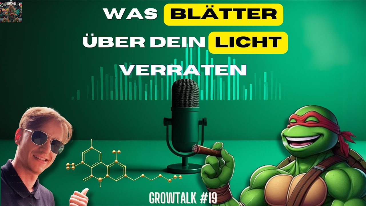 Growtalk #19 | Cannabis-Pflanzen richtig lesen: Licht, Blattfläche, VPD und Stress