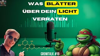 Growtalk #19 | Cannabis-Pflanzen richtig lesen: Licht, Blattfläche, VPD und Stress