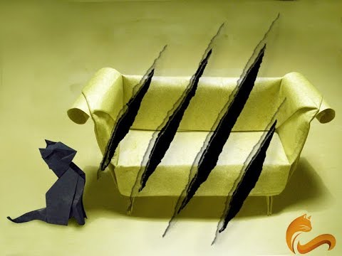 Comment Empirer Le Comportement Destructeur De Votre Chat Sans Le Savoir