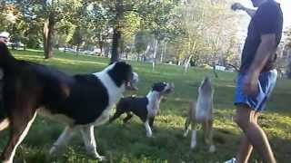 lena bole i leri :)