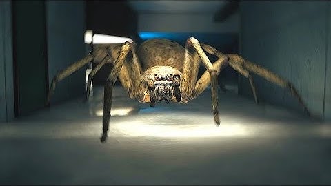 If you hate spiders. DO NOT WATCH: Huntsman