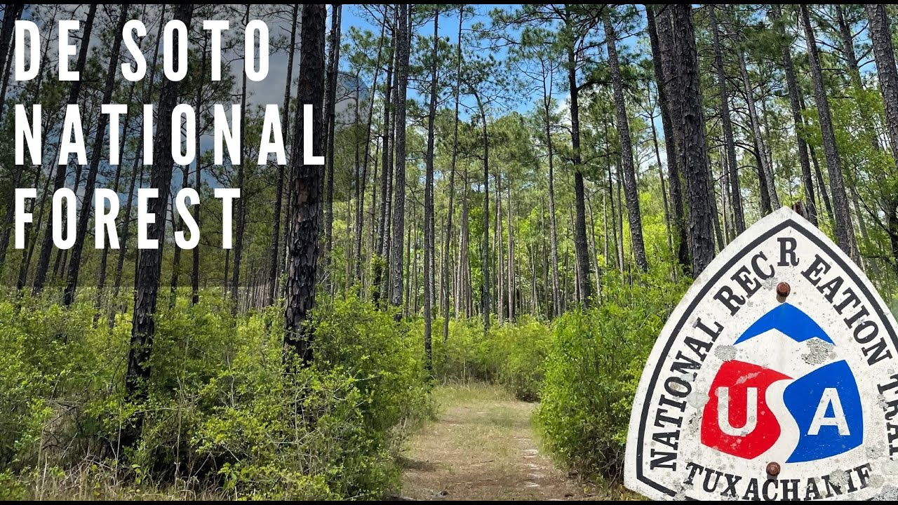 Exploring De Soto National Forest Mississippi - Tuxachanie Trail
