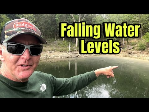 How Bass React To Dropping Water Levels…(Techniques And Strategies)