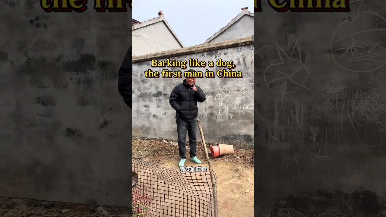 Barking like a dog, the first man in China#beatboxing #imitation show#lovely dog#That's funny