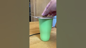 Newton’s First Law Penny Experiment