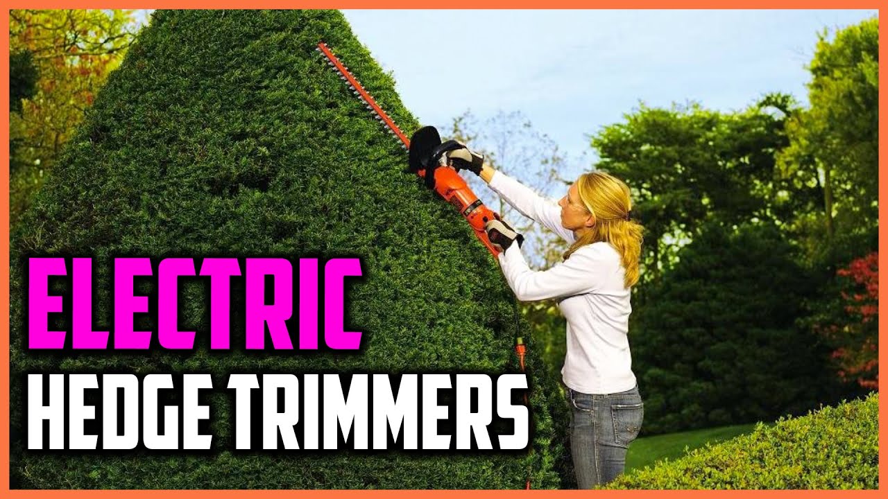 Top 5 Best Electric Hedge Trimmers In 2021 - YouTube