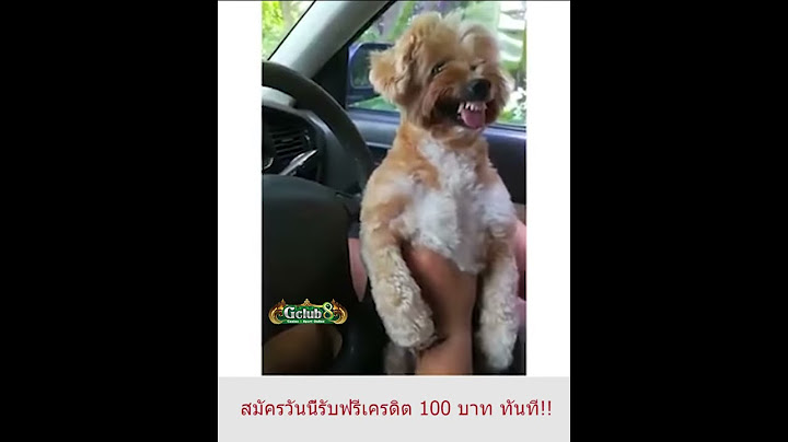แกล้งกูดีนัก พีคตอนจบนี่แหละ55 ขอบคุณคลิปจากเพจแก้เซ็ง