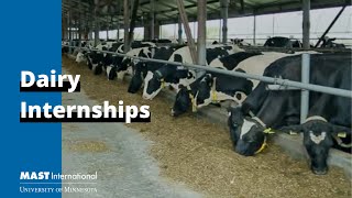 Dairy Internships | MAST International
