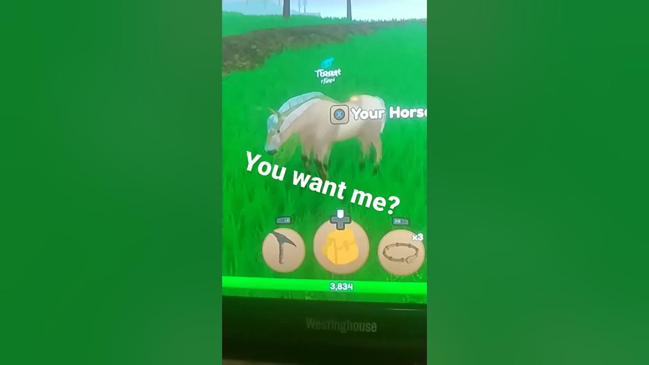 Wild Horse Islands edit (Edit for a friend for buying me this horse)