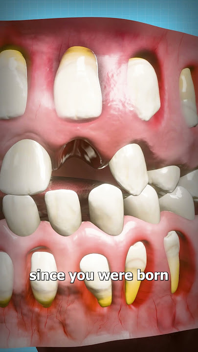 How Adult Teeth Grow In 🤔