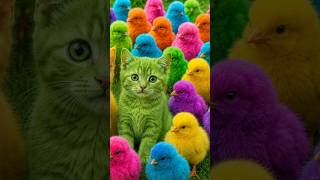 Tangkap Ayam Lucu, ayam warna warni, ayam rainbow, kelinci lucu, bebek lucu, ikan koi, Hewan Lucu