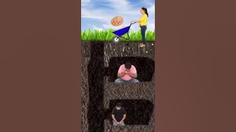 What conclusion did you make? #shorts Tiktok video with meaning by Tiktoriki