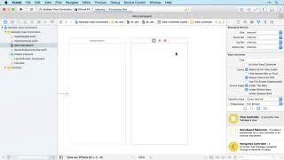 12  Multiple View Controllers