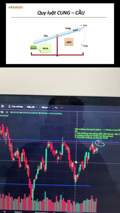 Vnindex giảm vì dòng tiền không vào dòng dẫn dắt