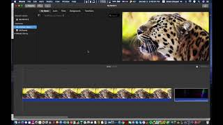 How To Export an iMovie in 1080p When iMovie Won't Let You (The Option is Greyed Out)