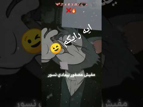 مفيش عصفور بيعادي نسور   