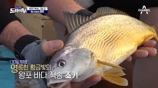 이거슨 리얼 황금빛 조기! 왕포에 몰아치는 폭.풍.입.질