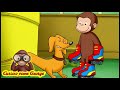 George e Hundley 🐵  Raccolta dei Migliori Momenti Insieme 🐵 Cartoni Animati per Bambini