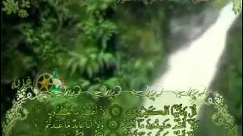 سورة الكافرون بصوت الشبل يوسف كالو