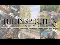 "The Inspection" - Episode 4: Ashley Keller, Founder, Weathered Ways Farm, Cece's Honey Bees, & More
