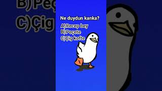 bddygd