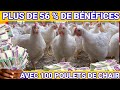 Je vous prsente de a  z le cot total pour llevage de 100 poulets de chair devis estimatif