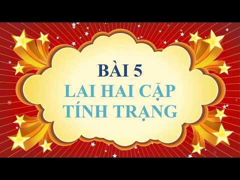Video Sinh học lớp 9 - Bài 5 - Lai hai cặp tính trạng ( tiếp... - youtube