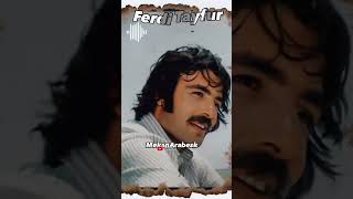 Koşturdu Peşinden Bir Ömür Boyu Ferdi Tayfur Şarkıları