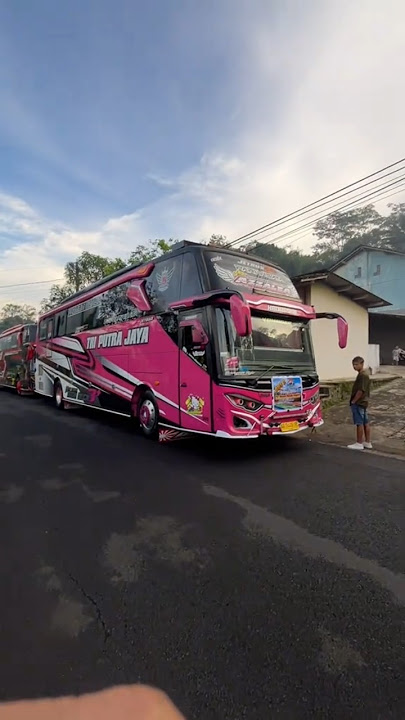 Story'WA bus AZZALEA VS KEN AROK mboiss 30 detik
