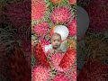 Rambutan