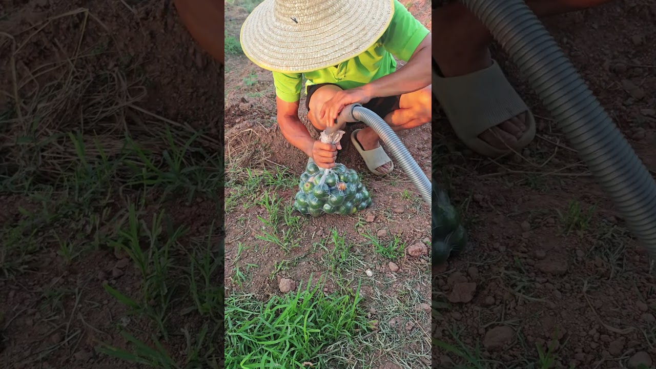 Vacuum sealing tips without special equipment