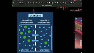 Video of Lecture 14 - Solutions - October 15, 2026